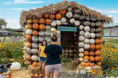 Mainstay Farm Park | Cleburne, TX | Pumpkin Days