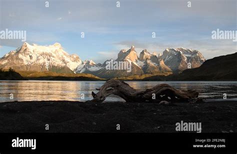 Torres del paine birds Stock Videos & Footage - HD and 4K Video Clips - Alamy