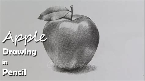 89 Recomended Apple pencil drawing lessons for Adult | Best Sketch Art ...