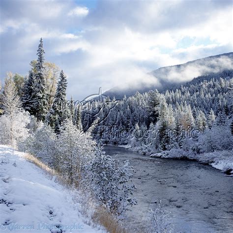 Fresh snow in Manning Park photo WP01777