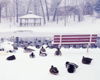 Winter in the Park | Brighton, Michigan, USA (Kodachrome sli… | Woody Hibbard | Flickr