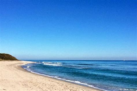 10 Best West Palm Beach Beaches — The Top Spots! - Friends of MacArthur Beach State Park, Inc.