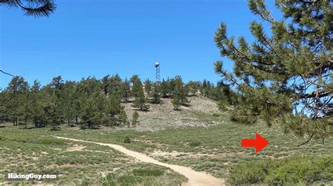 Mount Pinos Trail and Sawmill Mountain Hike Guide - HikingGuy.com