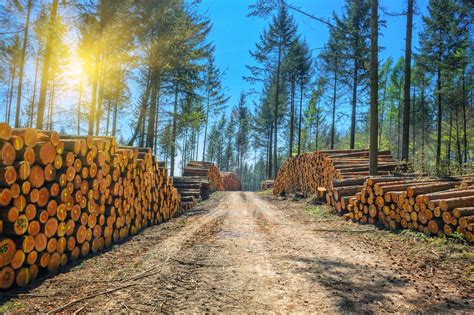 Construire en bois cordé