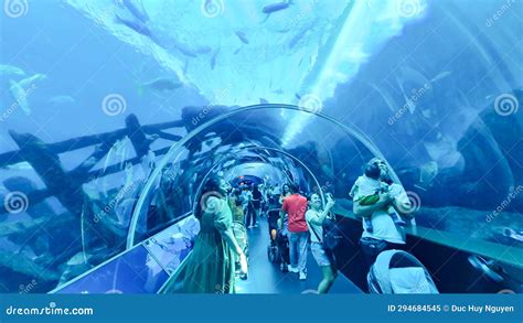 Tourists Inside the Glass Tunnel of S.E.a. Aquarium in Sentosa Island ...