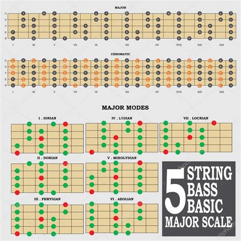 5 string bass basic major scale for bass player teacher and student ...