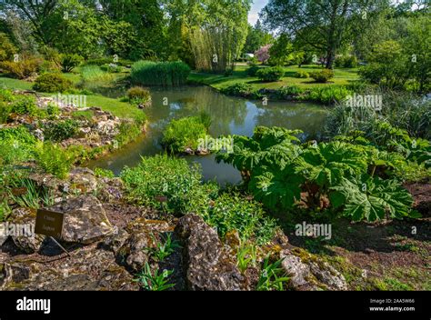 Switzerland, Geneva, Botanical Garden Stock Photo - Alamy