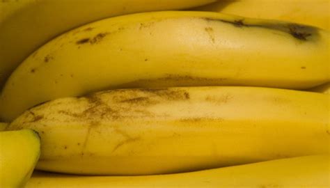 Science Fair Project on Ripening Bananas | Sciencing