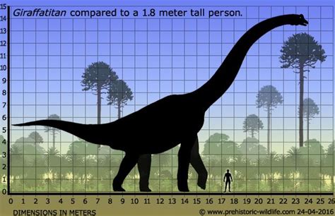 Giraffatitan | Dinosaur pictures, Dinosaur, Prehistoric wildlife