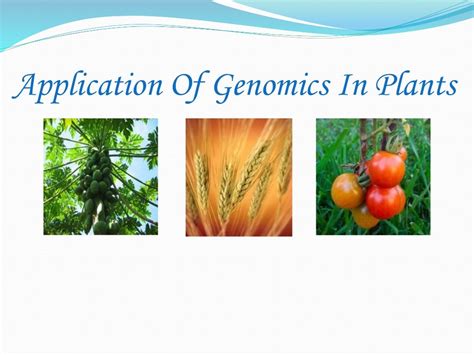 Applications of genomics in plants