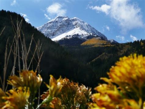 American Fork Canyon, UT, in the fall | American fork canyon, American fork, Natural landmarks