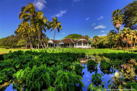 Moanalua Gardens - Hawaii Pictures