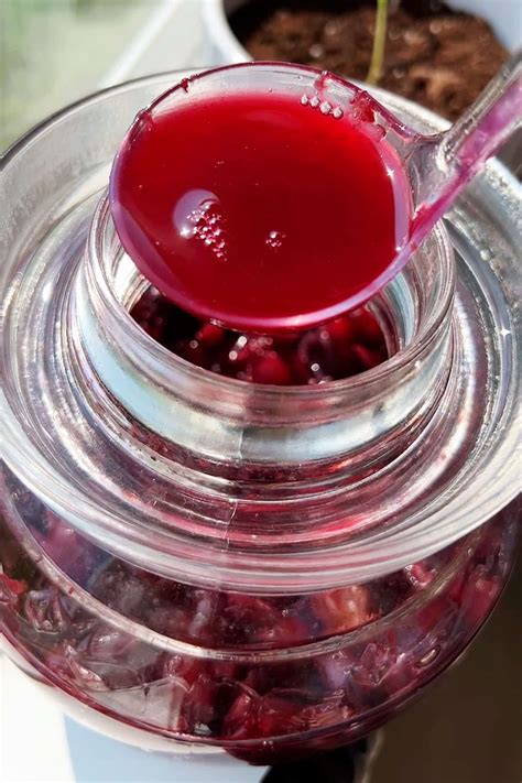 Homemade Grape Wine (2 ingredient recipe) | Recipes with Videos