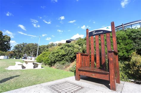 Dandenong Ranges at Mount Dandenong Melbourne