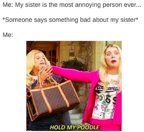 Best Sister Ever Memes / 209 quotes about sisterly bonds.