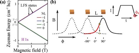 (a) Zeeman splitting for hydrogen ${1}^{2}{{\rm{S}}}_{1/2}$ atoms, with... | Download Scientific ...