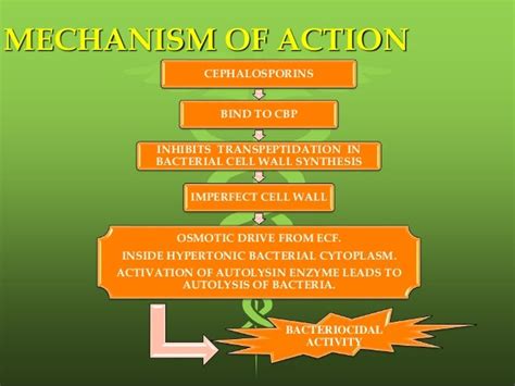 Cephalosporin