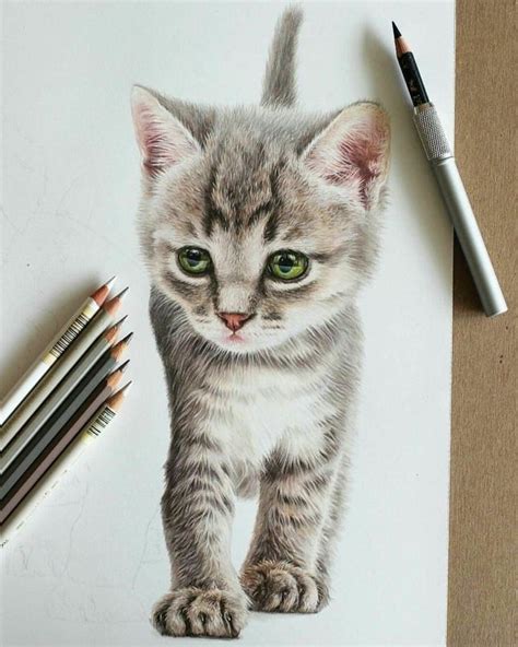 sketch-drawing-ideas-realistic-drawing-of-a-ktten-with-green-eyes-on ...