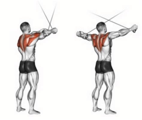 The Cable Rear Delt Fly | How To Maximize This Rear Delt Exercise!