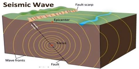 Seismic Wave - Assignment Point