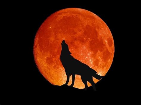 Full Wolf Moon, Eclipse Livestream: How To Watch In Metro Denver ...