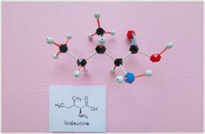 Isoleucine - Health Benefits & Side Effects - Your Health Remedy