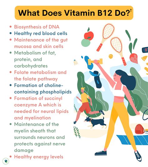 The Ultimate Guide to Vitamin B12: Forms, Benefits, Supplements, & Mor ...