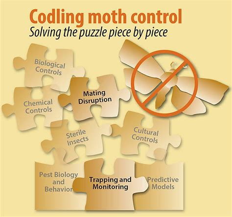 Codling moth control: The math on mating disruption – Good Fruit Grower