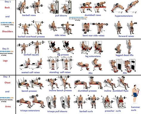 3-Day Muscle Building Workouts For Busy People - Bodydulding