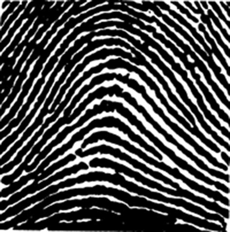 Classifying Fingerprints | DO-IT