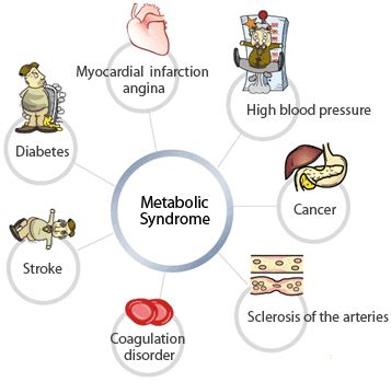 Core Naturopathics | Metabolic Syndrome