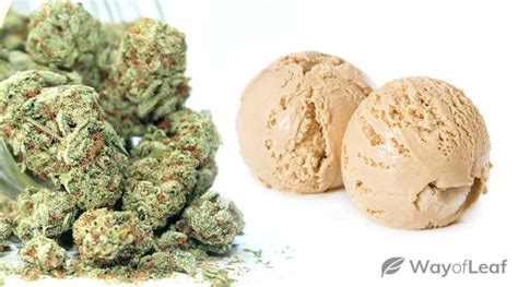 Creme Brulee Strain [All You Need to Know and More]