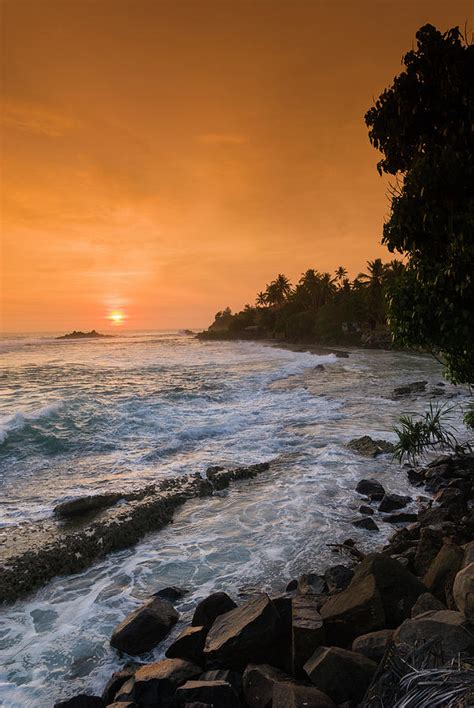 Unawatuna Beach At Sunset Photograph by John Elk Iii - Fine Art America