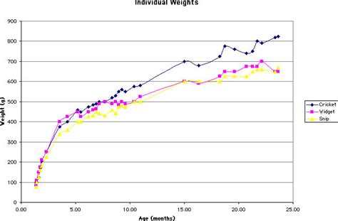 Male Rat Weight