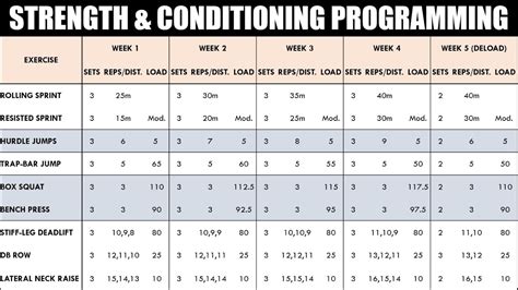 How to Create a Strength & Conditioning Program for Athletes ...