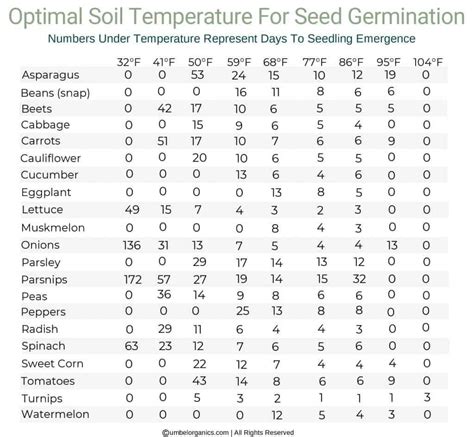 Seed Germination Chart For Vegetables