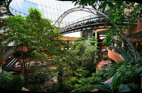 Rainforest - 1 Utama Shopping Centre