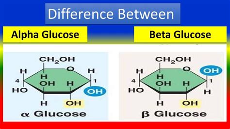 Alpha And Beta Glucose Ring Structure