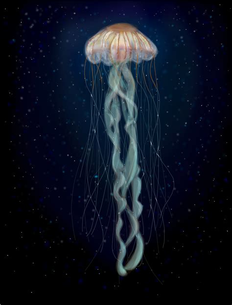 Deep Sea Jellyfish » drawings » SketchPort