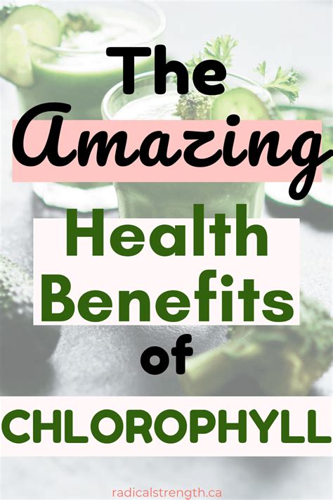 Proven Powerful Chlorophyll Benefits for Health - Radical Strength