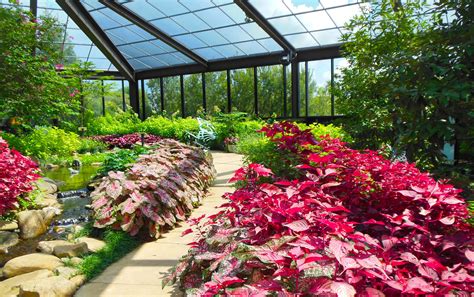 Seasonal Festivals | Purdy Butterfly House | Huntsville Botanical Garden | Huntsville botanical ...