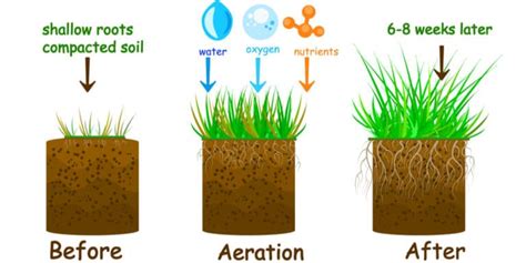 Liquid Aeration Pros and Cons - GFL Outdoors