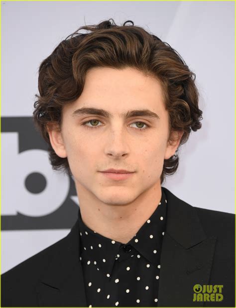 Timothee Chalamet Steps Out For SAG Awards 2019: Photo 4218099 | 2019 ...