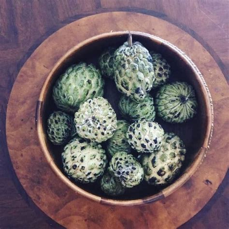 5 Things You Didn't Know About Sweetsop