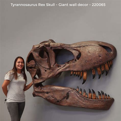 Tyrannosaurus Rex Skull - Giant Wall Decor - Sculpture & Statue