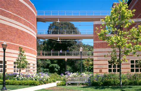 UCLA Anderson Faculty Recognized for Excellence in Research and Teaching - UCLA Anderson School ...