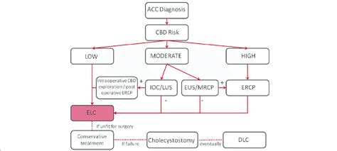 Comprehensive algorithm for the treatment of Acute Calculous... | Download Scientific Diagram