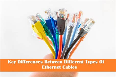 Key Differences Between Different Types Of Ethernet Cables