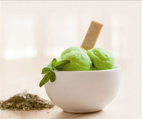 DIY Yerba Mate Ice Cream Recipe - The Yerba Mate Blog