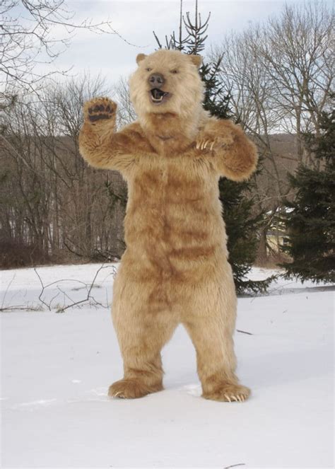 Realistic Kodiak Grizzly Suit - Karluk | Mascot Ambassadors